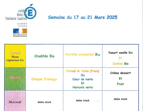 Capture d’écran 2025-03-12 112557.png