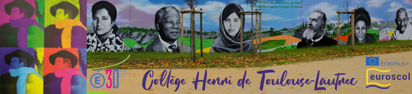 Affiche accueil 1400x320 - Fresque Euroscol Erasmus E3D.jpg